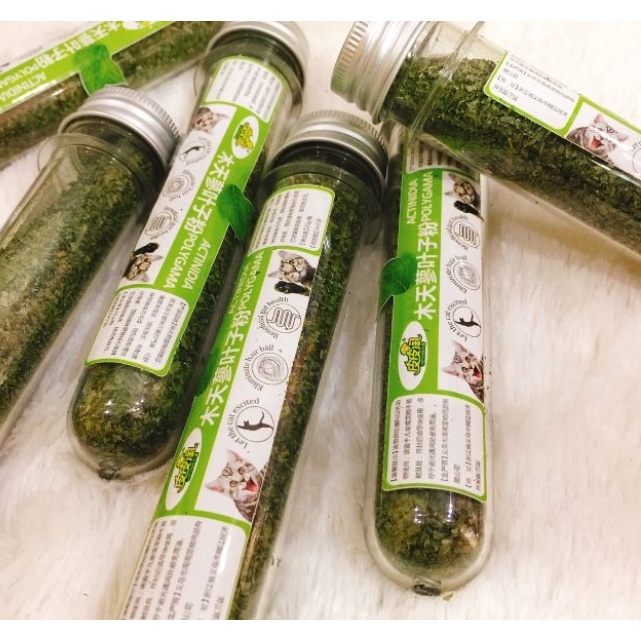 CỎ MÈO BẠC HÀ CATNIP