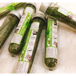 Cỏ mèo bạc hà catnip