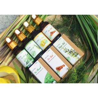 Tinh dầu tràm gió GPV