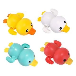 Vịt con vặn cót bơi