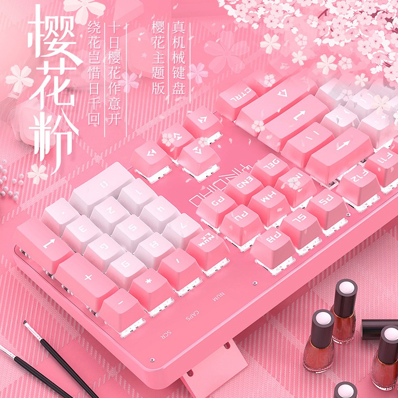 Bàn phím máy tính, bàn phím cơ HỒNG PRO T900 LED 10 Chế Độ, Phím Cơ Blue Gaming  Máy Tính, Laptop, PC CHO  NAM & NỮ