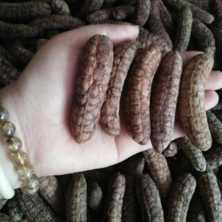 5 kg Chuối hột rừng loại đặc biệt