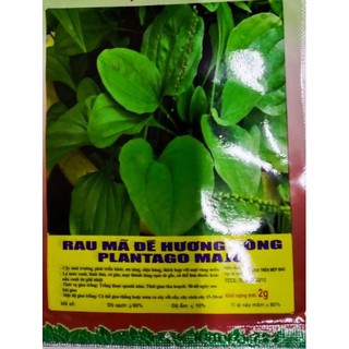 HẠT RAU MÃ ĐỀ - GÓI 2 GRAM