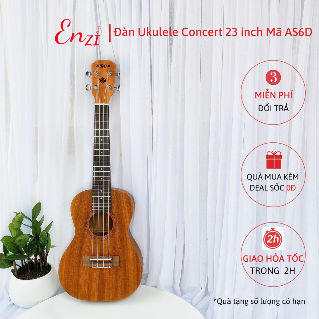 Đàn ukulele concert AS6D Enzi 23 inch gỗ mộc trơn khóa đúc giá rẻ cho bạn mới bắt đầu tập chơi