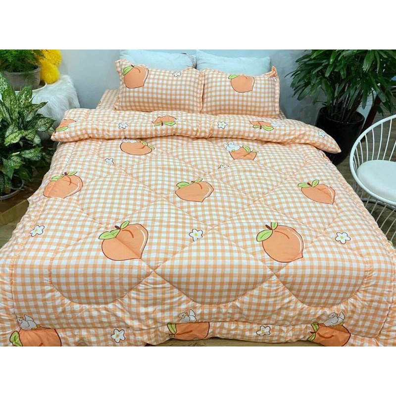 Trọn  Bộ Chăn Phao 5 Món Ga Gối Poly loại 1 Chăn Bông Như Hình