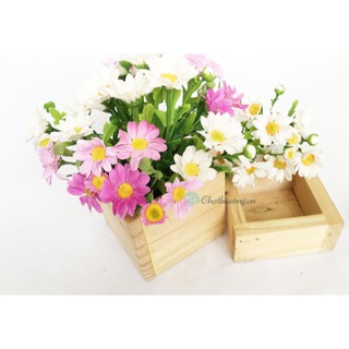 Chậu gỗ thông vuông decor, trồng sen đá, Hộp gỗ vuông tự nhiên 10x10x5cm