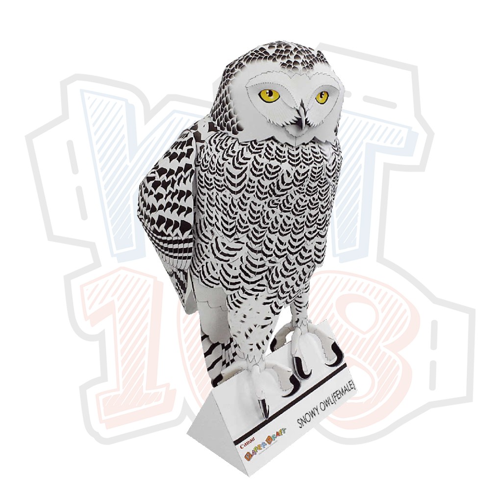 Mô hình giấy động vật Chim Cú Snowy Owl (Cái)