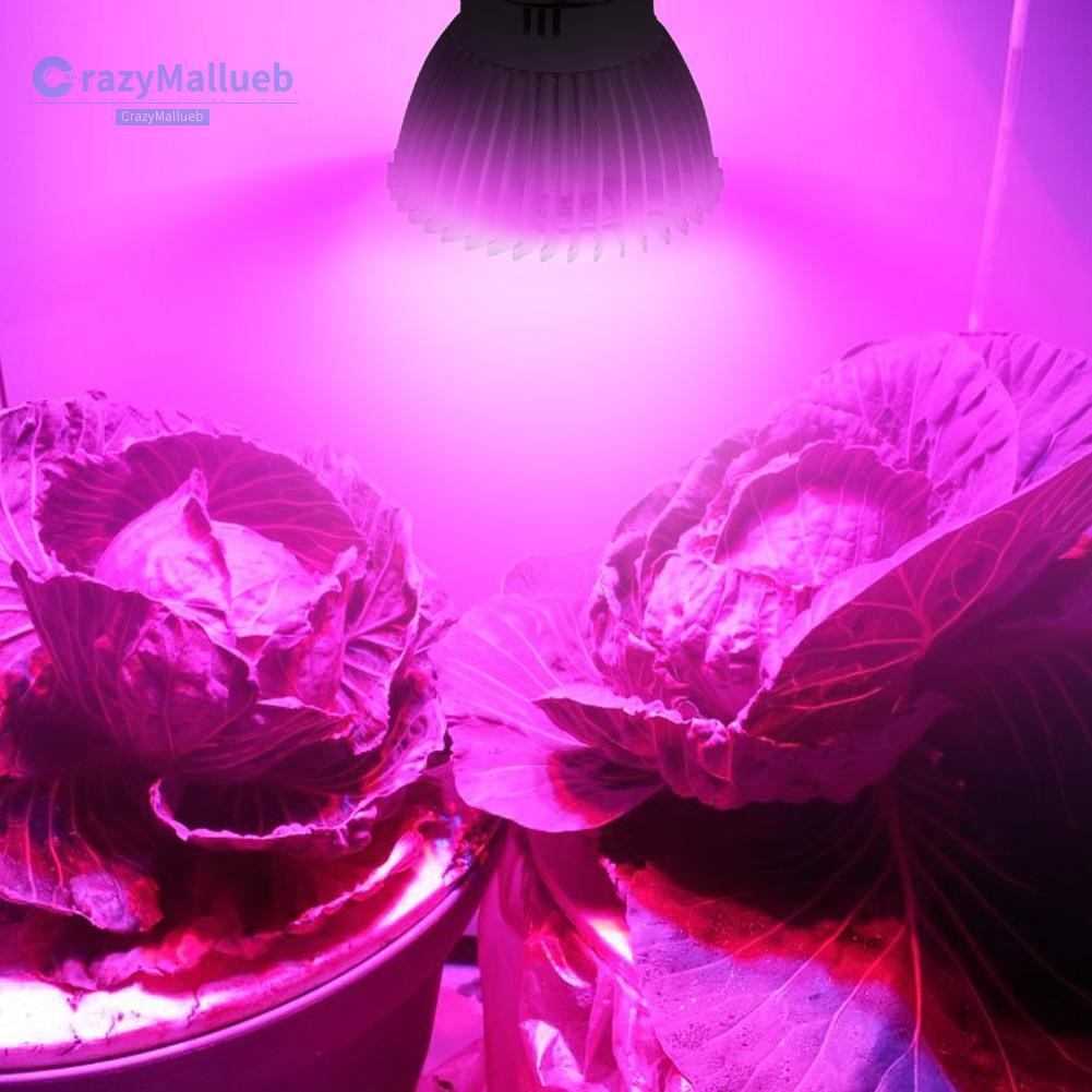 Crazymallueb❤Full Spectrum 28W E14 LED Grow Light AC85-265V LED  Lamp Plant Light❤Lighting