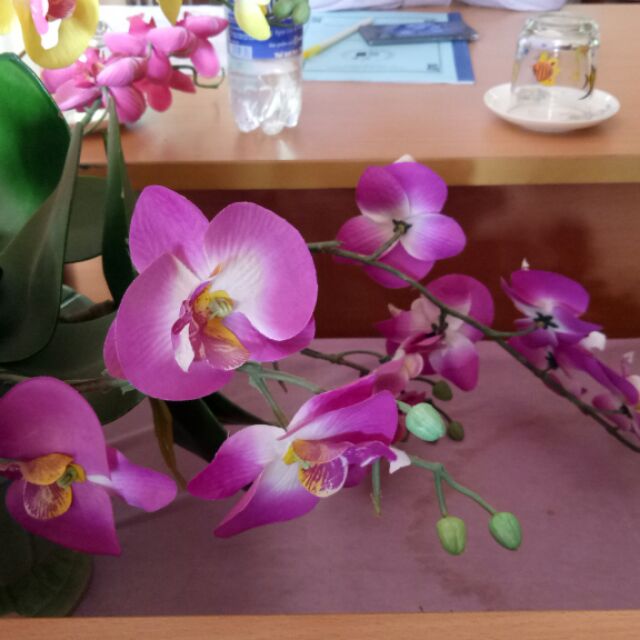 Cửa hàng văn phòng phẩm MH