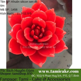 Khuôn silicon sen đá lớn 1456