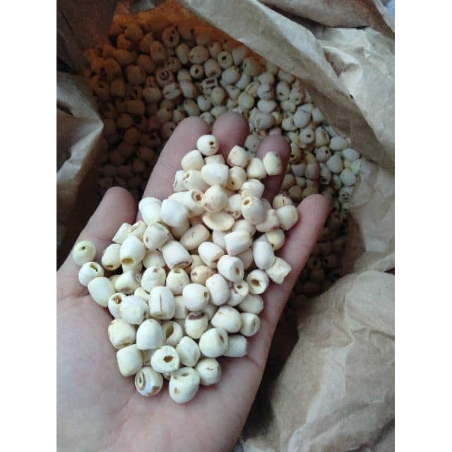 sen khô huế giá sỉ - 250g / 500g / 1 kg