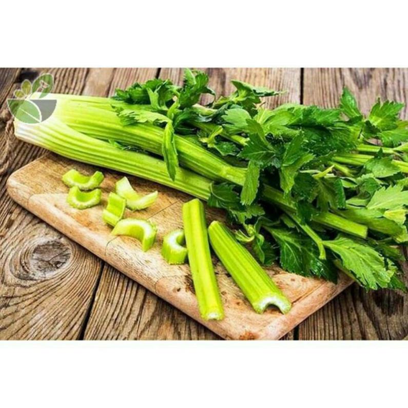 Hạt giống cần tây mỹ bẹ to cao 75cm