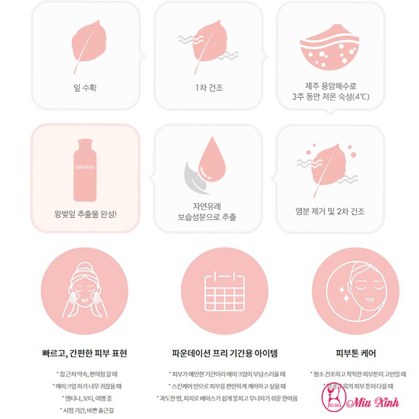 KEM DƯỠNG NÂNG TONE  Jeju Cherry Blossom Tone Up Cream