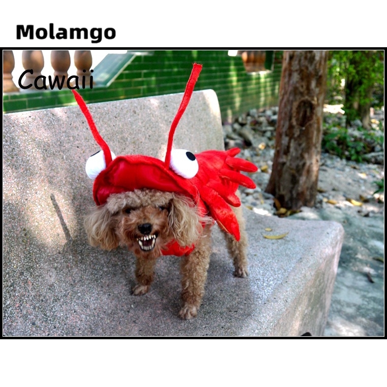 Đồ Hóa Trang Cho Thú Cưng Dịp Halloween