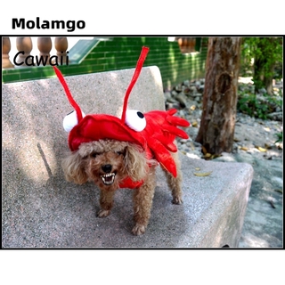 Đồ Hóa Trang Cho Thú Cưng Dịp Halloween