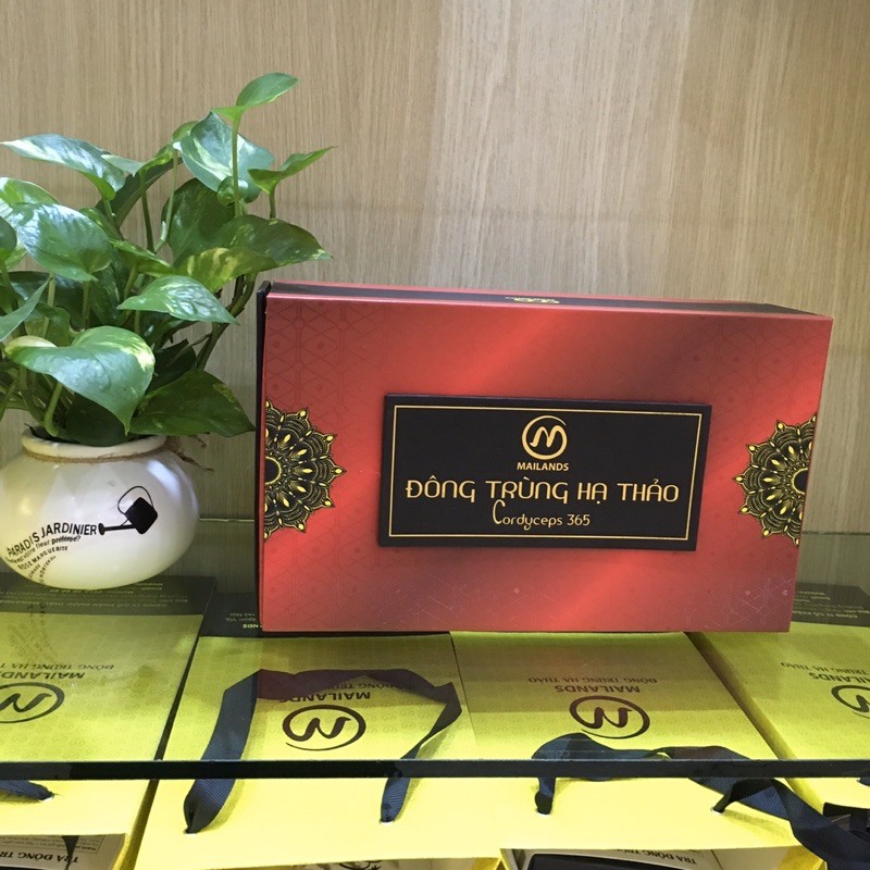 Đ𝐨̂𝐧𝐠 𝐓𝐫𝐮̀𝐧𝐠 𝐇𝐚̣ 𝐓𝐡𝐚̉𝐨 𝐂𝐨𝐫𝐝𝐲𝐜𝐞𝐩𝐬 𝟑𝟔𝟓