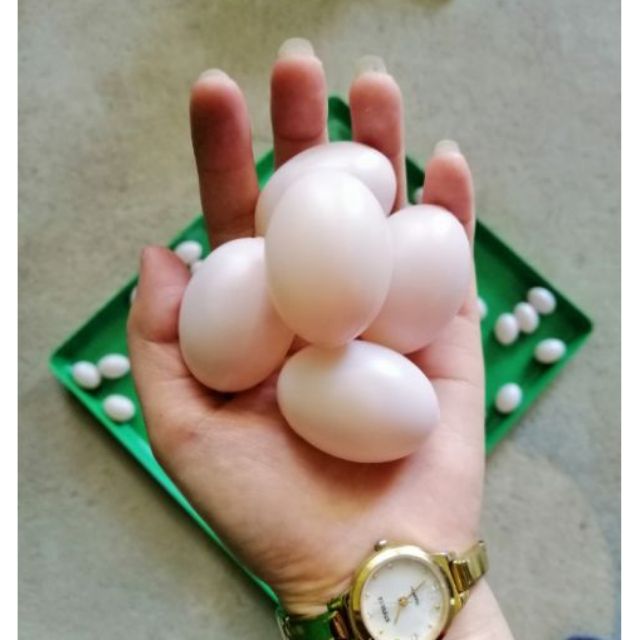 Combo 10 trứng nước bồ câu giả