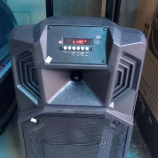 LOA 2 TẤC RONAMAX V8