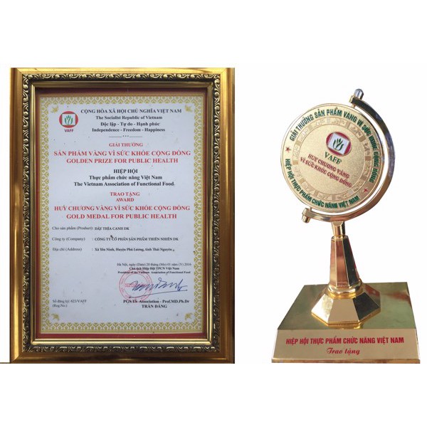 [𝐋𝐀́ 𝐓𝐎/𝐆𝐀𝐂𝐏-𝐖𝐇𝐎] Dây thìa canh loại đặc biệt - 𝐆𝐨́𝐢 𝟏𝟎𝟎 𝐠𝐚𝐦 - 70% dây thìa canh lá to - Ổn định đường huyết -DK Natura | BigBuy360 - bigbuy360.vn