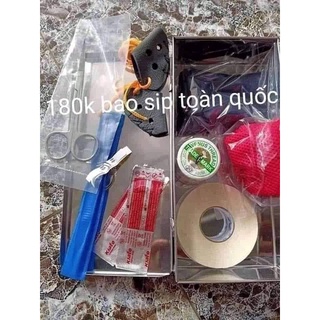 Hộp y tế gà chọi gà nòi gà đá