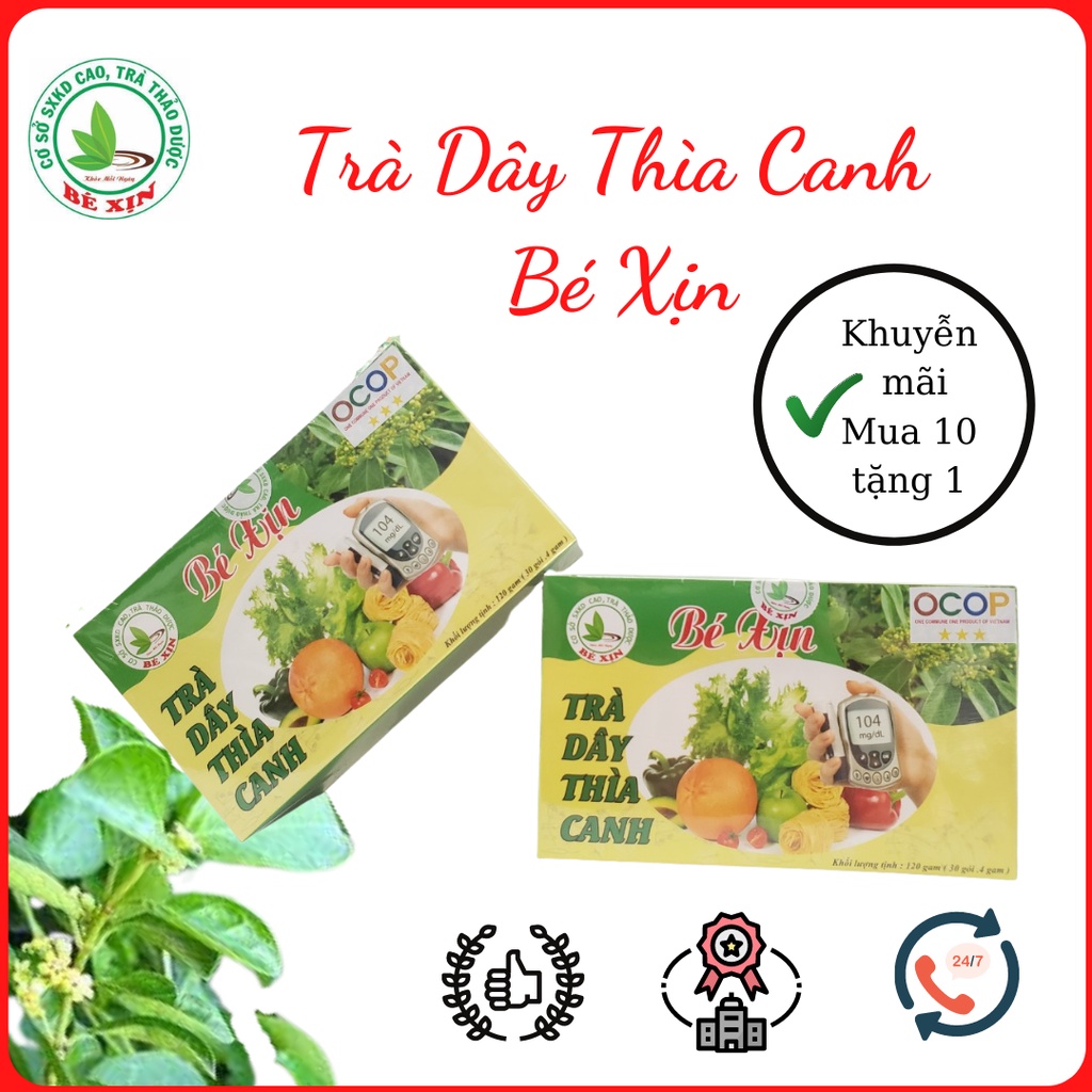 Dây Thìa Canh Trà Túi Lọc Bé Xịn