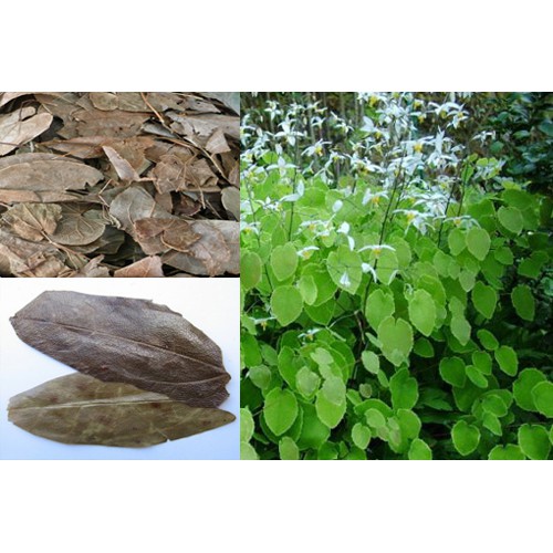 Lá dâm dương hoắc