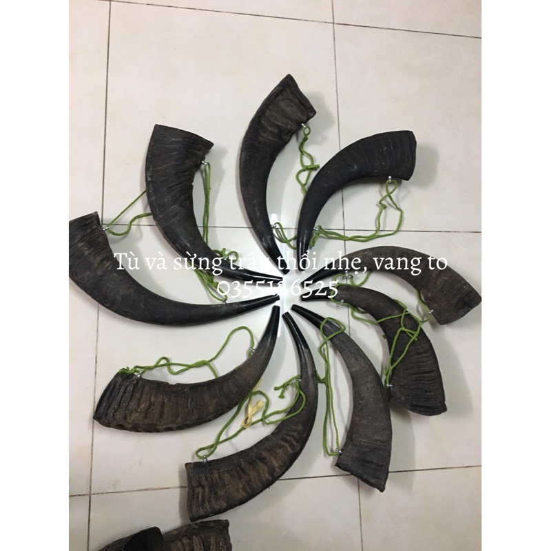 Tù và sừng trâu thô size đại 35-40cm, âm vang cực lớn