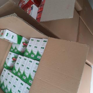 Men & Sữa Non