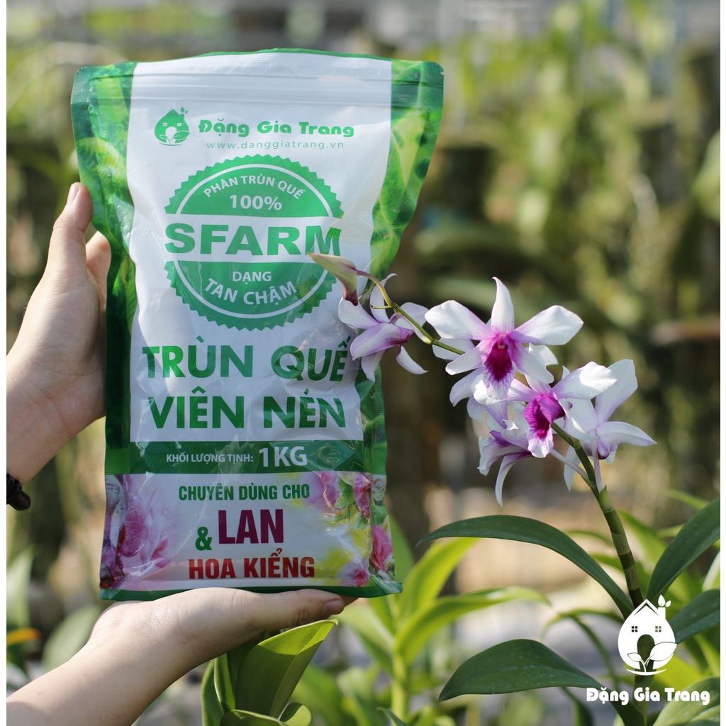 Phân trùn quế dạng VIÊN Sfarm Đặng Gia Trang 1kg