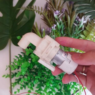 Máy bơm mini 12v trắng mb510