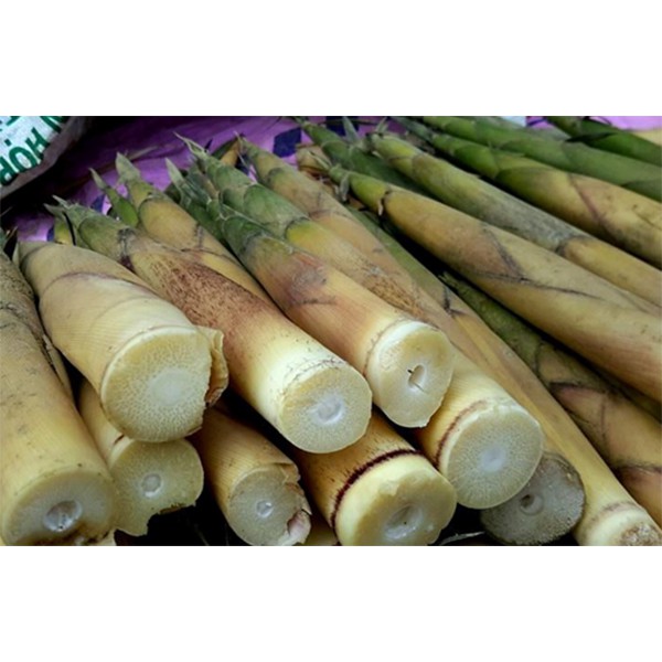 măng khô non