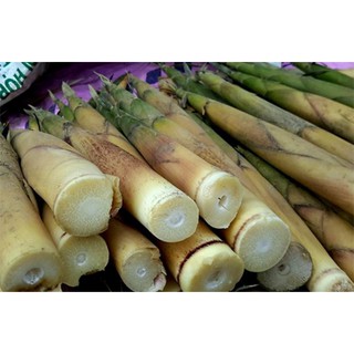 măng khô non