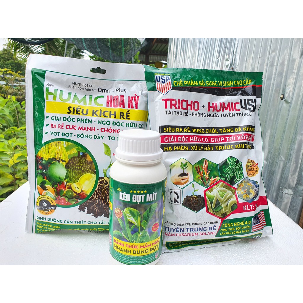 Combo NUÔI CÂY MÍT CON Giúp Rễ Khỏe, Giàu Lông Hút, Đất Phì Nhiêu, Mít Phát Nhanh