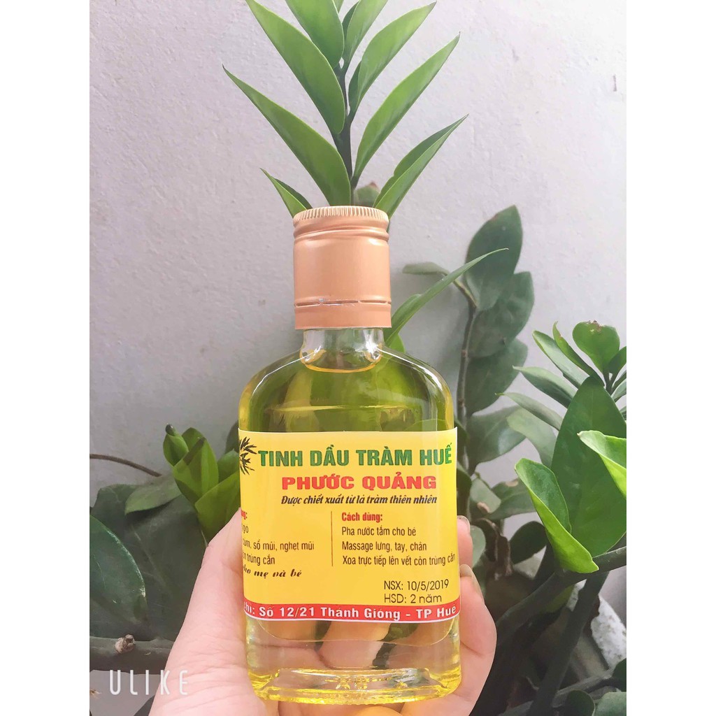 Tinh dầu tràm Phước Quảng 100Ml