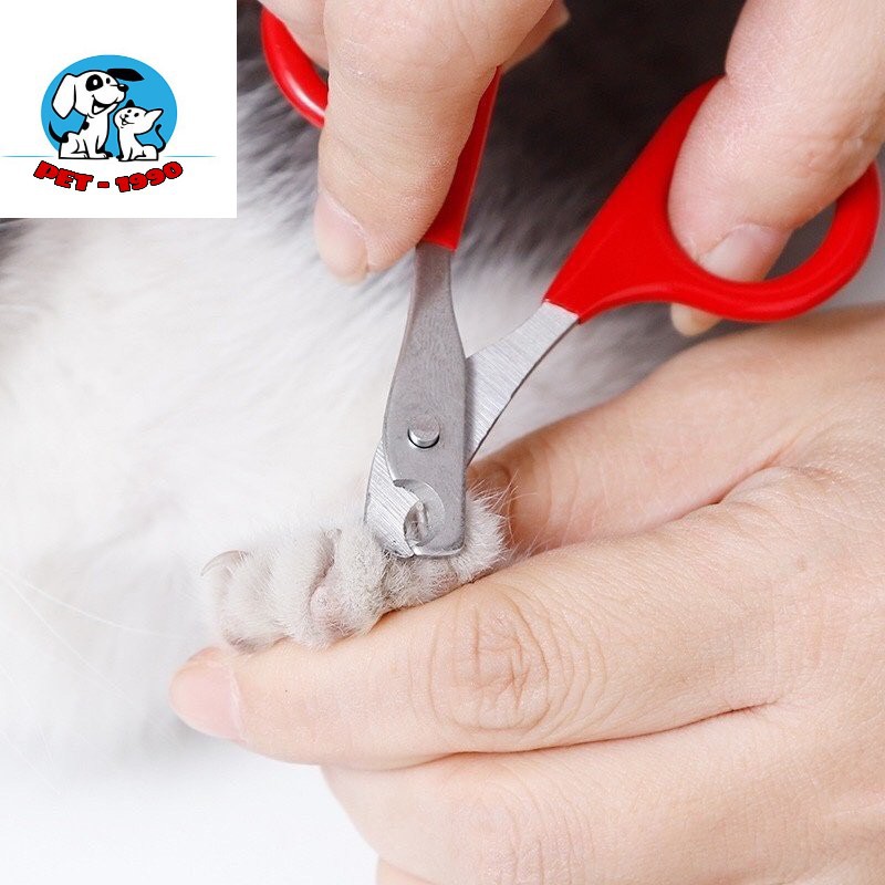 [Mã PET50K giảm Giảm 10% - Tối đa 50K đơn từ 250K] Kìm Bấm Móng Mini - Kéo Cắt Móng Mini Cho Thú Cưng