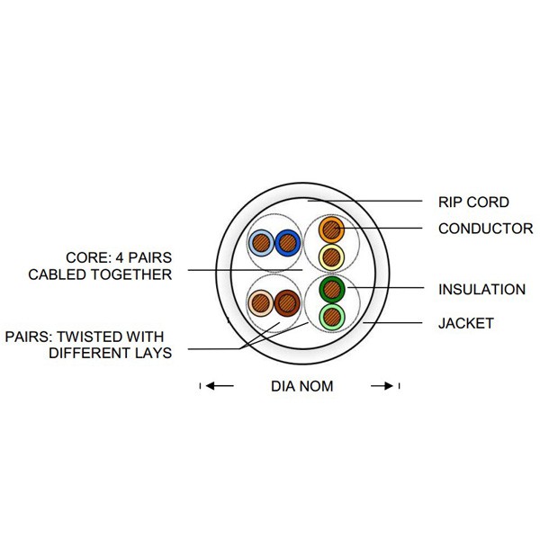 Dây cáp mạng AMP Cat5e có bấm 2 đầu / 1 mét