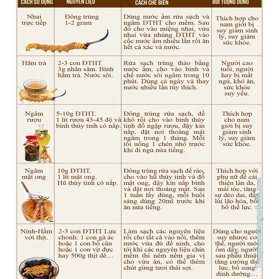 Combo 2 Hộp 25gr Đông trùng hạ thảo sấy thăng hoa MMG Kèm túi giấy | BigBuy360 - bigbuy360.vn