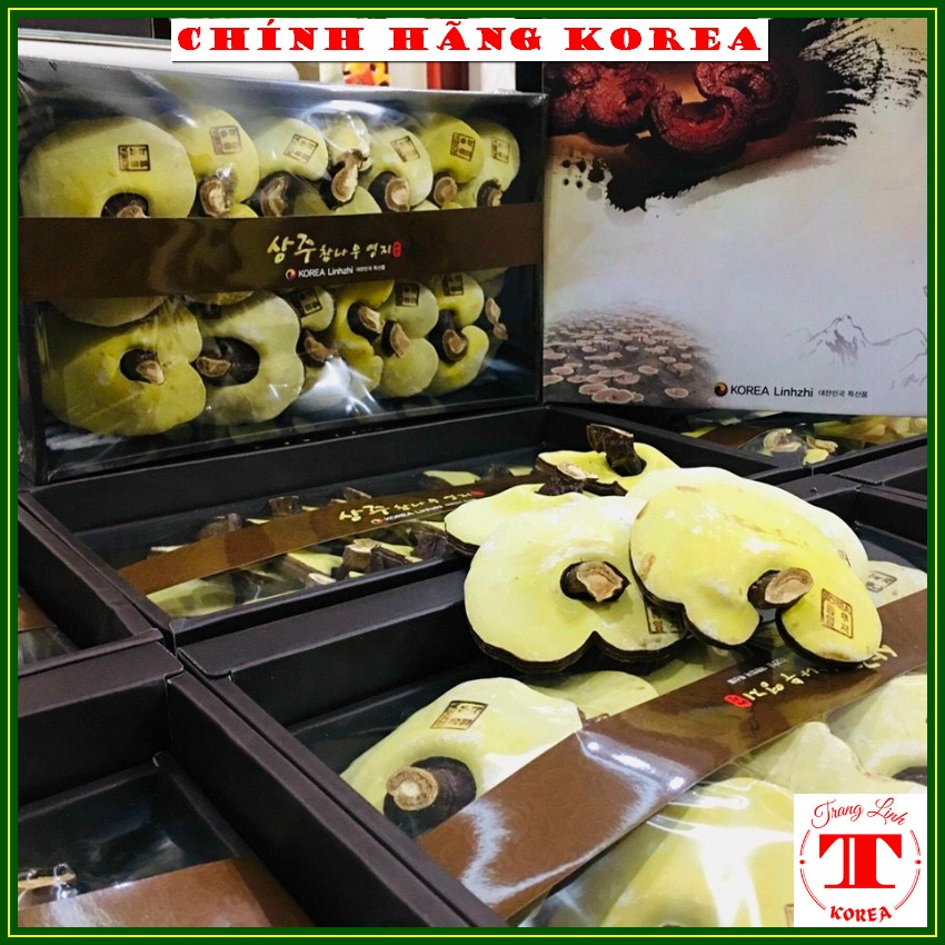 Nấm linh chi hàn quốc SANGJU CITY thượng hạng, hộp 1kg - Thải độc gan, thanh lọc cơ thể, phòng ung thư - tranglinhkorea