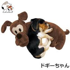 GỐI NẰM CHO CHÓ CƯNG DOGGYMAN