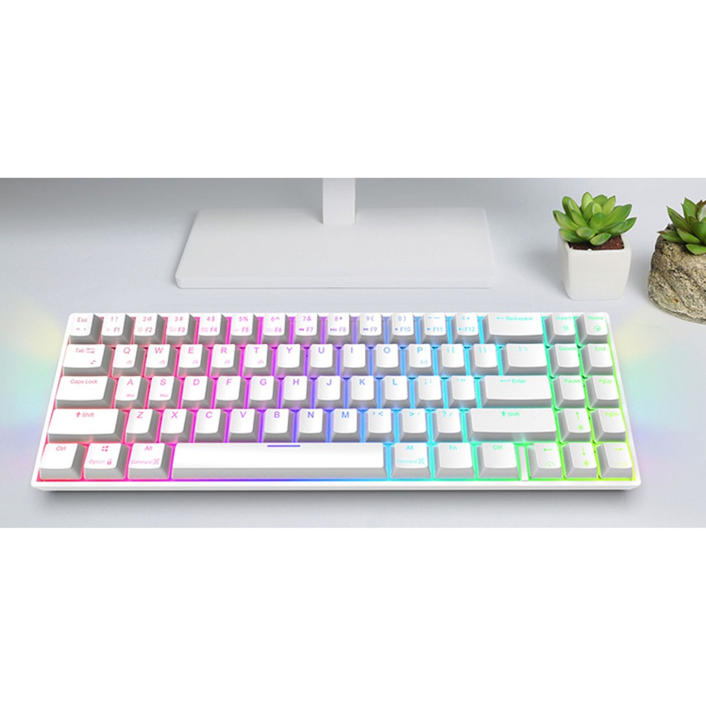 HÀNG CÓ SẴN - Bàn phím cơ không dây Royal Kludge RK71 RGB. Chính Hãng Royal Kludge. | BigBuy360 - bigbuy360.vn