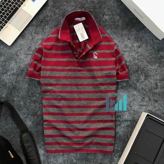 Áo thun nam polo (GIÁ SHOCK) sọc ngang thêu hình độc đáo thun cotton mịn - Thời trang nam SIIBE