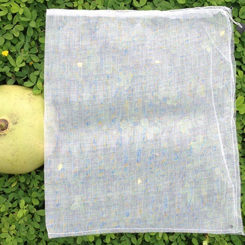 Túi Bao Bưởi 30x35cm, Túi lưới bao trái Bưởi