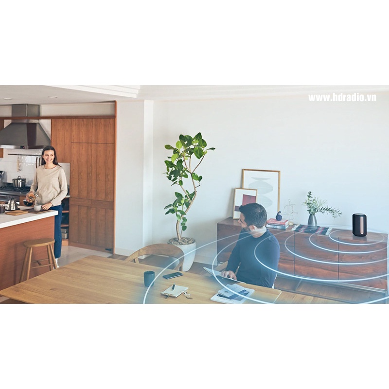 Loa bluetooth Sony SRS-RA3000