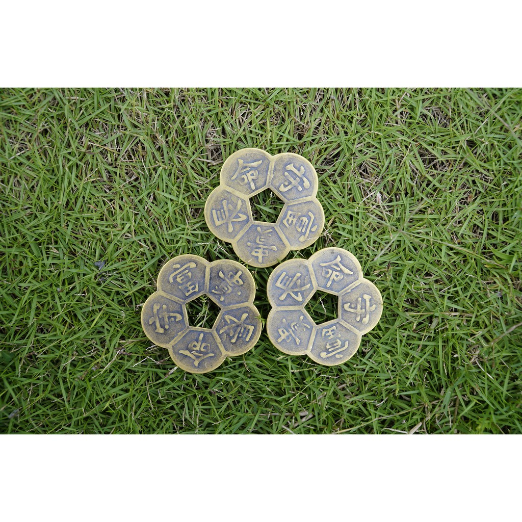 Đồng Xu Hoa Mai phong thủy chiêu tài | BigBuy360 - bigbuy360.vn