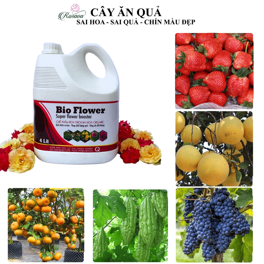 Phân bón hữu cơ vi sinh kích thích ra hoa Rosava can 4L rẻ cho cây cảnh, hoa hồng, hoa giấy, hoa lan, sen đá