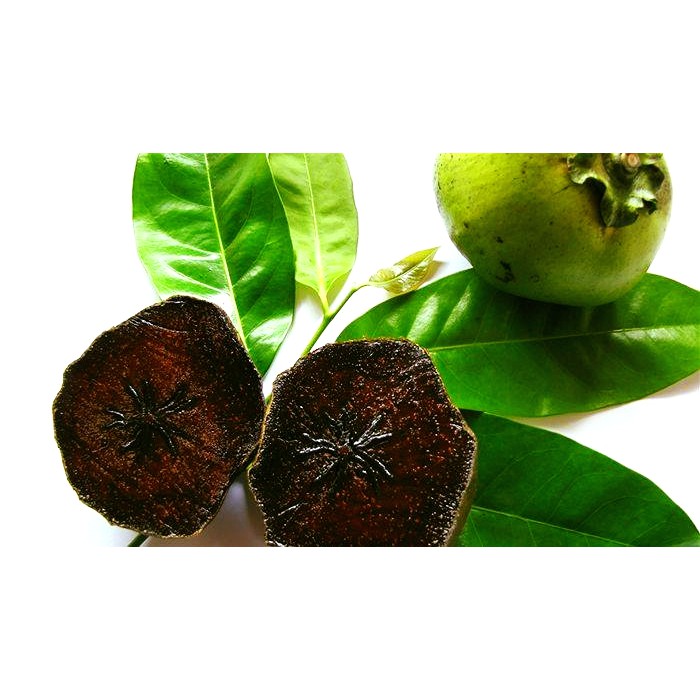 2 CÂY HỒNG ĐEN SOCOLA