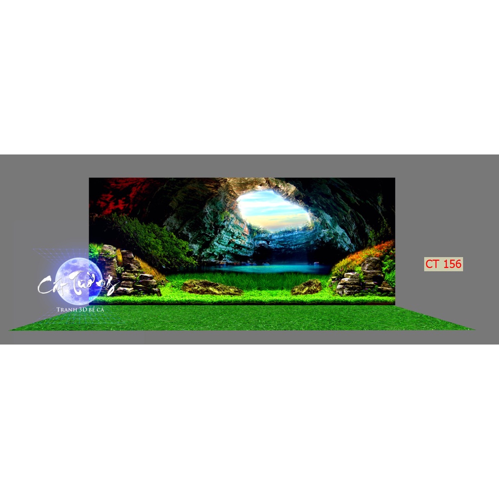 Tranh 3d dán bể cá thủy sinh, bể cá rồng
