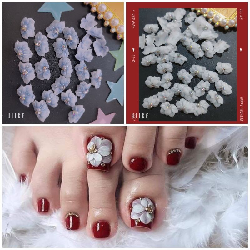 Hoa bột nail -hoa chân -sỉ lẻ hoa bột