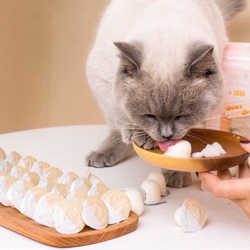 1 Viên Pudding BOTH sữa dê cho mèo