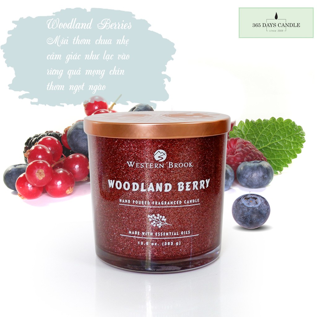 (SỈ INBOX) Hương Woodland Berries _Nến Thơm cao cấp VNXK _WESTERN BROOK 383g